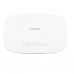 Netgear WAX615 AX3000 Dual-Band PoE Multi-Gig Insight Managed WiFi 6 Access Point