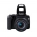 Canon EOS 250D 24.1MP Full HD WI-FI DSLR Camera with 18-55mm IS STM KIT Lens