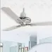 Hindware Royal 48" Ceiling Fan