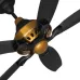 Close-up of the black and gold hub of the Pakhtun Penta 10 ceiling fan with five black blades.
