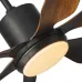 Qulik Silex 66" Decorative Silent Ceiling Fan With Light and Remote