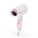 Philips HP8108 1000 Watt Hair Dryer