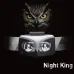 Creative view of Philips SFL3342RH/56 Headlamp with owl background symbolizing powerful night vision illumination.