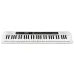 Casio CT-S200WE 61-Key Portable Musical Keyboard Piano with Adapter