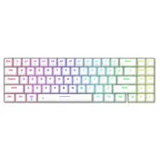 Dareu EK871 GTR RGB Hot Swappable Wireless Brown Switch Mechanical Keyboard