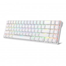 Royal Kludge RK71 Blue Switch RGB Hot Swappable Tri-Mode Wireless Mechanical Keyboard