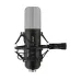 Yanmai Q8 USB condenser microphone with shock mount, black studio recording design.