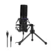 Yanmai Q9 USB condenser microphone with shock mount and tripod stand
