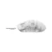 Front view of Havit MS970WB Pro Tri-Mode Rechargeable Gaming Mouse with translucent shell and braided cable
