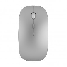 WiWu WM101 Wimice Dual Wireless Mouse