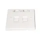 CommScope 2225212-1 Dual Port Faceplate