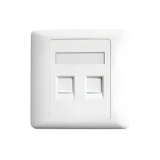 Belden AX104442 Dual Port Faceplate