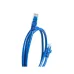 Close-up view of COTE CPC-2106 0.5M Cat-6 UTP Patch Cord showing blue Ethernet cable with RJ45 connectors on both ends