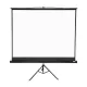 Apollo 96"x96" Tripod Projection Screen