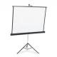 Apollo 70"x70" Tripod Projection Screen