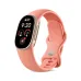 Google Fitbit Edge