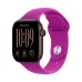 Apple Watch Series 12