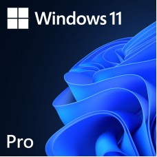 Microsoft Windows 11 Professional