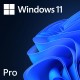 Microsoft Windows 11 Professional