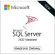 Microsoft SQL Server 2022 Standard (CSP Perpetual)