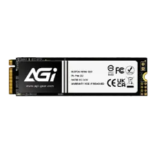 AGI AI198 256GB PCIe 3.0 NVMe M.2 SSD