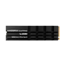 AITC KINGSMAN S1000 1TB M.2 2280 PCIe Gen5x4 NVMe 2.0 SSD With DRAM & Heatshink