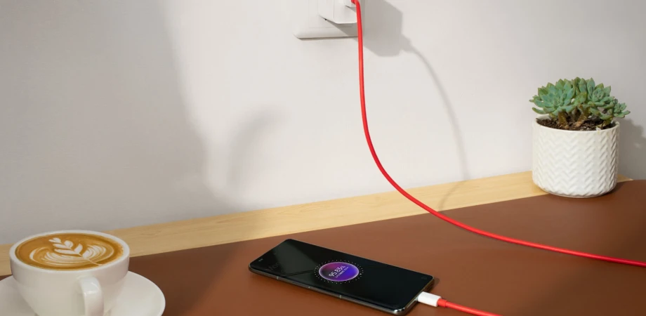 OnePlus Type-C 1.5M Cable